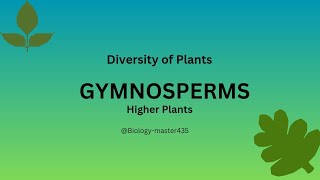 Gymnosperms Phenerogams Higher Plants  details  BS BOTANY Bs level [upl. by Anilrats778]