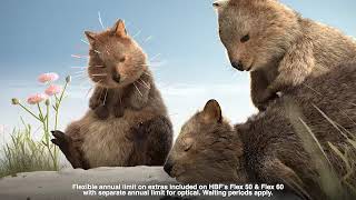 HBF Health Insurance  Discover Flex 50 and Flex 60 Extras  Dont Settle for a Quokka [upl. by Grannias]