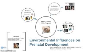 Environmental Influences on Prenatal Development [upl. by Powe]