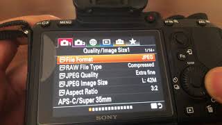 Sony A7riii A7iii A7rii a7ii A7sii  FACTORY SETTINGS RESET  HOW TO [upl. by Raffin]