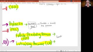 Biology 2020 Chapter 17 The Endocrine System Adenohypophysis Tropic Hormones video 6 [upl. by Alrahs]