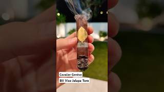 💨🔥CAVALIER Genève BII Viso Jalapa🌙 cigar cigars cigarlife lighter asmr shorts [upl. by Adnorhs]