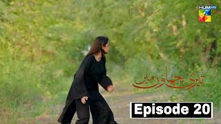 Teri Chhaon Mein Episode 20 Promo  Teri Chhaon mein Episode 20 Treaser  3rd Oct 2024  Full Review [upl. by Wilmott]