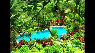 7 Hectare Mountain Ecolodge Hotel 10 minutes from La Fortuna with view of Arenal Volcano [upl. by Charmain]