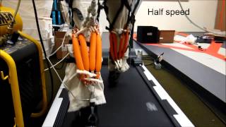 A Lightweight Soft Exosuit for Gait Assistance [upl. by Kile]