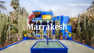 Majorelle Gardens Part One  Marrakeshs most visited attraction [upl. by Clarhe850]