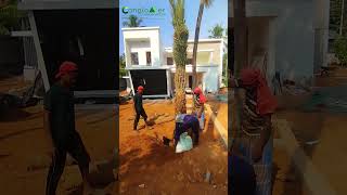 Date palm planting [upl. by Vaenfila]