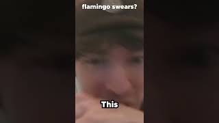 Flamingo swears on his stream [upl. by Nadaba898]