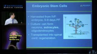 The Stem Cell Horizon Where Are We [upl. by Sollows]