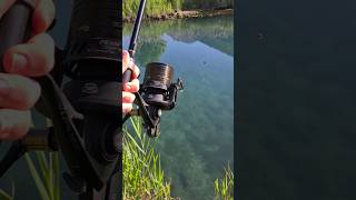 shorts carpfishing carp fishing boilies corn mais riverfishing lakefishing fish angler [upl. by Clymer]