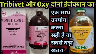 Tribivet और Oxy दोनों injection का एक साथ उपयोग करना सही है या सबसे बड़ा खतरा Vet injection [upl. by Arytahs694]