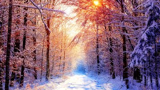 🔥Beautiful Snow Scene  Winter Scene  Relaxing Piano Sleep Music Meditation Study amp Spa Music 31 [upl. by Horvitz920]