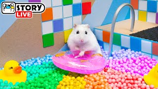 The Worlds Largest Hamster Ball Pool Maze with Pop It 🐹 Homura Ham Pets [upl. by Oicangi168]