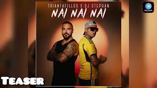 Triantafillos X Dj Stephan  NAI NAI NAI  Teaser 2024 [upl. by Nnylsaj]