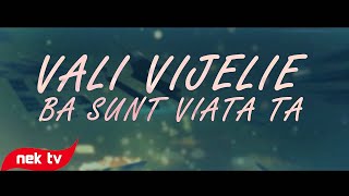 Vali Vijelie  Ba sunt viata ta lyric video [upl. by Sama]