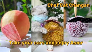 Wear headphones and enjoy Changans Amsr catsofyoutube asmr food [upl. by Cynthea]