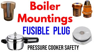 Exploring Safety Valves in Pressure Cookers A Boiler Mounting Overview  Fusible plug [upl. by Aver]