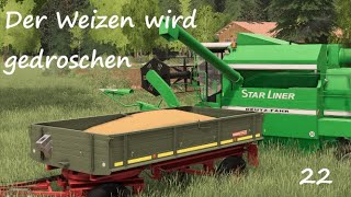 Ls19  Weizen dreschen  Stappenbach Oldtimerprojekt  022 [upl. by Htebirol]