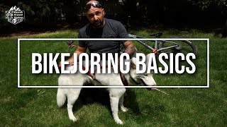 BIKEJORING BASICS  How to get started in Dryland Mushing [upl. by Aiak]