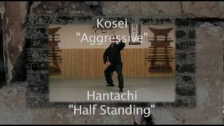 Ninjutsu Training  KAMAE DEMONSTRATION  9TH KYU  Bujinkan Instruction Online [upl. by Korff311]