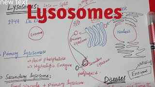 Lysosomes  Glycogensis type 2 disease Taysach disease class 11 biology [upl. by Id565]