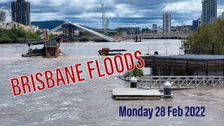 Brisbane Floods 2022  River City Kangaroo Pt Botanic Gardens Mowbray Pk New Farm Monday 28Feb [upl. by Noirda]