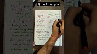 Micturition Reflex  physiology mbbs shortsvideo education medico reels shortvideo [upl. by Nelli370]