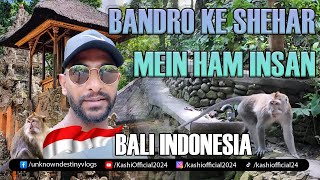 Bandro Ke Shehar Mein Ham Insan  Monkey Forest  Bali  Indonesia  Travel  Vlog  Pakistan [upl. by Ot]