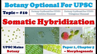 Somatic Hybridization Mechanical Method Enzymatic Method Importance Botany Optional for UPSC [upl. by Irdua]