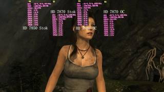 Тест HD 7850 vs HD 7870 Tomb Raider 2013 amp The Witcher 3 [upl. by Cirdet]