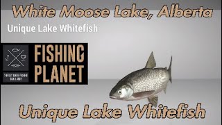 Unique Lake Whitefish  White Moose Lake Alberta  Fishing Planet Guide [upl. by Four]