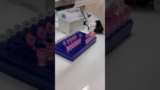 Isolating RNA from primary cells [upl. by Aihn]