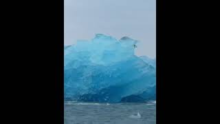 Iceberg Rolling Over Directly In Front of Boat [upl. by Eimile577]