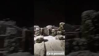 Ninge can povesti în Arieseni apuseni ninge [upl. by Annaoy274]