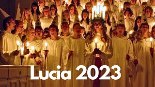 Lucia 2023  Lucia Celebration in Sweden [upl. by Nedda854]