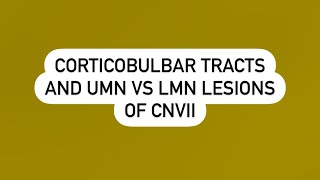 Corticobulbar tract and UMN vs LMN lesions of facial nerve [upl. by Nwatna]