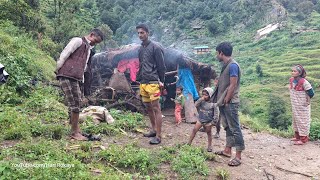 Very Peaceful And Relaxing Nepali Mountain Village Life of Nepal  Rainy Day  Village Life of Nepal [upl. by Kucik]