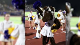 Mascot Monday Get to know the students history behind Alamo Heights High School’s mascot [upl. by Christye478]