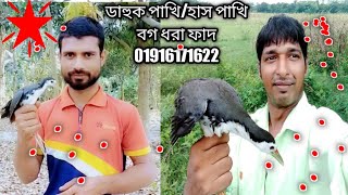 kora pakhi dhora fatdahuk dhora fad kinbodahuk dhora moi fadamazing bird trapwaterhen trap [upl. by Eberto]