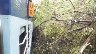 Dangerous  Train passing through an Uprooted Tree  Indian Railways [upl. by Careaga]