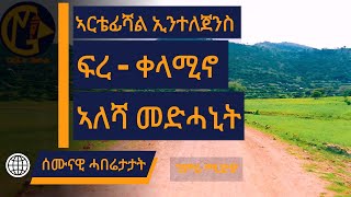 ሰሙናዊ ሓበሬታታት ገምሪ ሚድያ  ፍረቀላሚኖ  ኣለሻ መድሓኒት  Gemri media [upl. by Acilgna]