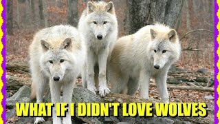 WHAT IF I DIDNT LOVE WOLVES [upl. by Aynor]