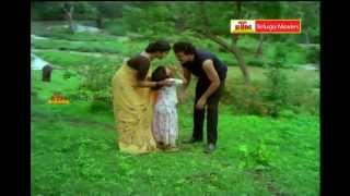 Swathi Reddy Title Song  shortvideo bheemsceciroleo swathireddyuk swathireddyuk [upl. by Donnell]