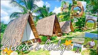 Explore Paradise Mountain at Alicias Ridge Eco Park  Agusan del Norte Mindanao Travel Vlog [upl. by Shushan46]