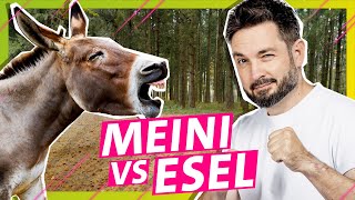 Zuckersüß aber mega stur Meini vs Esel  Das schaffst du nie [upl. by Sinned]