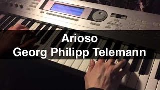 Arioso  Georg Philipp Telemann [upl. by Beverlee330]