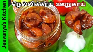 மாத கணக்கில் இருந்தாலும் சுவை மாறாத நெல்லிக்காய் ஊறுகாய்Amla pickle in Tamilnellikai oorugai [upl. by Laohcin]