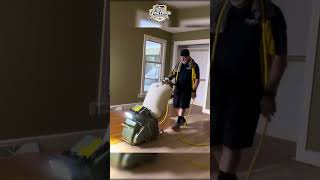 Transforming Hardwood Floors with Urine Stains shorts hardwoodfloors [upl. by Rogerson]