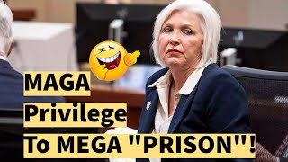 MAGA Faithful Tina Peters sentenced to 9 years in prison for election fraud [upl. by Winters498]