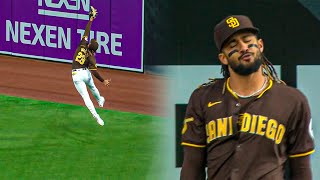 MLB  Top Plays Spring Training 2024 Highlights [upl. by Adler]